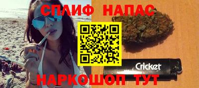 прущие грибы Аргун