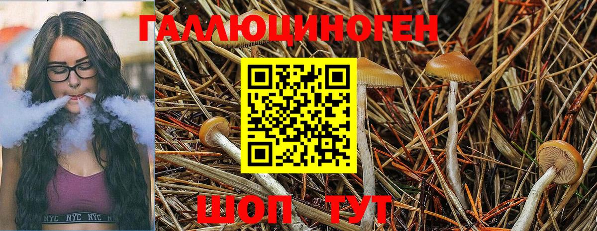 Галлюциногенные грибы Magic Shrooms  Ахтубинск  Галлюциногенные грибы ЛСД 