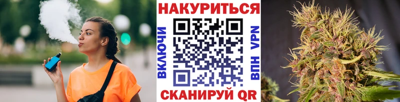 Шишки марихуана планчик  наркота  Ахтубинск 